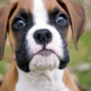 Meet your Posher, Aubrie